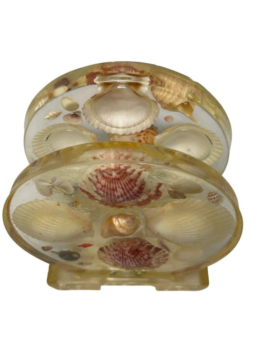 VTG Seashell Napkin Holder Lucite Acrylic w/ Real Shells Coastal Beach Nautical - Picture 5 of 9